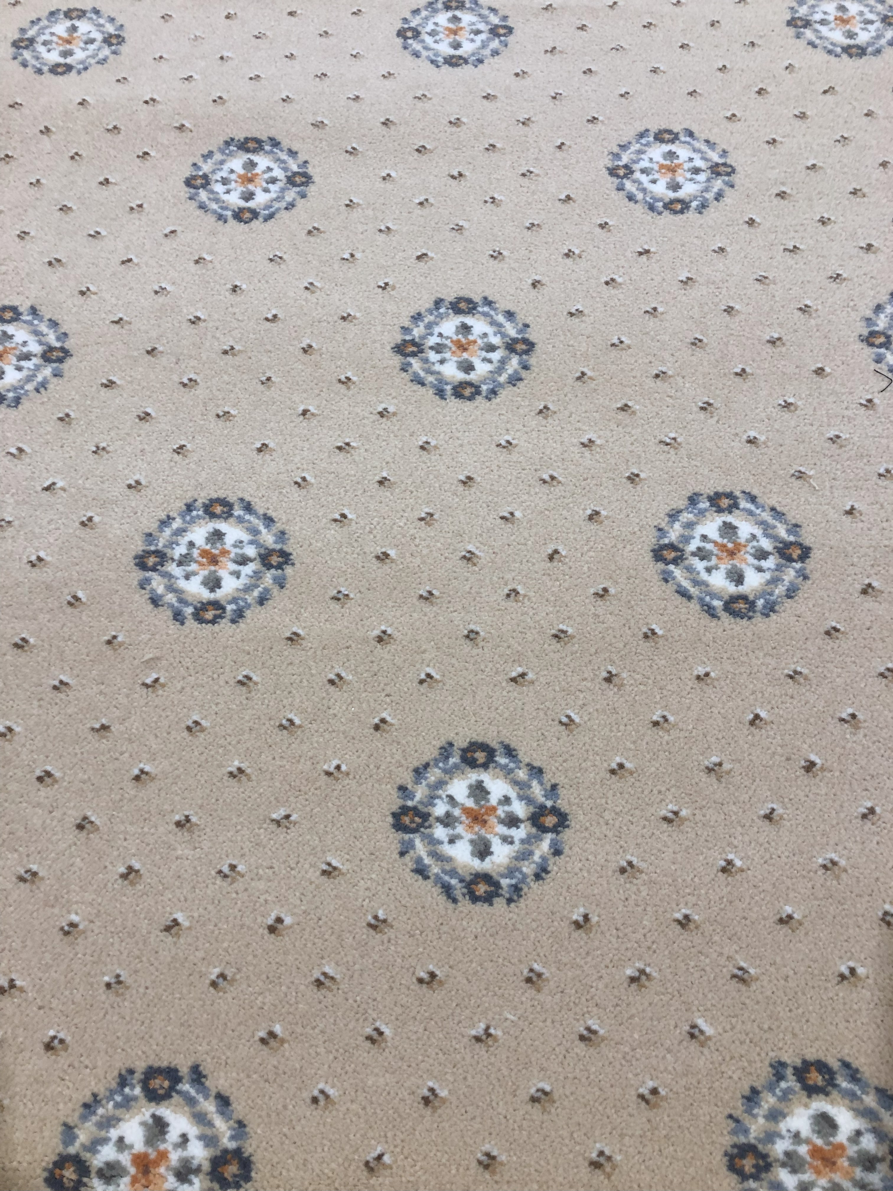 >ULSTER SHERIDEN CAMEO PROVENCALE ..............................................SOLD................................................